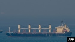 Kapal kargo Rubymar, yang membawa gandum asal Ukraina, berlayar di Laut Hitam dekat pesisir Kumkoy, di utara Istanbul, pada 2 November 2022. (Foto: AFP/Ozan Kose)