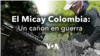 Desde adentro del conflicto