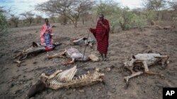 የአፍሪካ ቀንድ ከዚህ በፊት ከታየው የከፋ ቸነፈር ገጥሞታል 