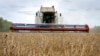 Who Donated Wheat to Afghanistan — Ukraine or US? 