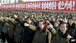 约10万朝鲜人举行2011年新年集会