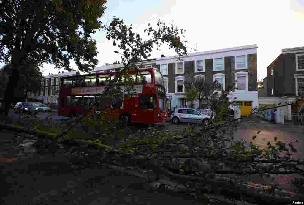A bus travels past fallen trees in Islington, north London, Oct. 28, 2013.