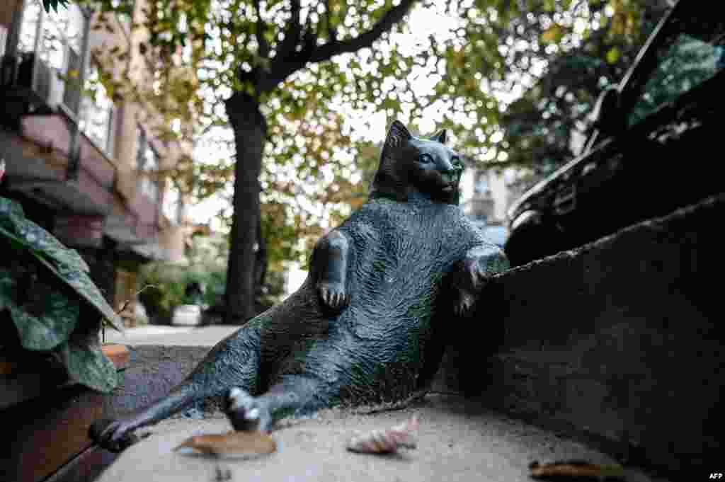 A sculpture of "Tombili Cat" who died in August at Ziverbey district in Istanbul, Turkey. The cat became a social media phenomenon after being photographed posing on a sidewalk in the neighborhood.