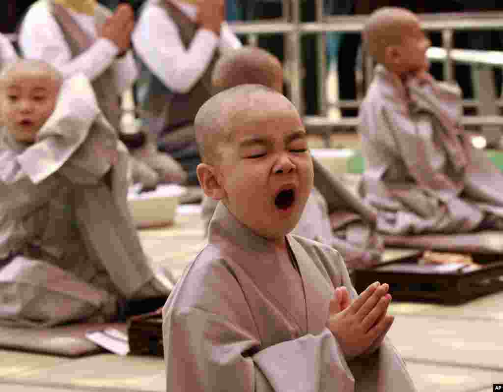 Seorang anak laki-laki menguap dalam sebuah upacara menyongsong peringatan kelahiran Sang Budha tanggal 17 Mei di Kuil Jogye, Seoul. Sepuluh anak berada di kuil tersebut selama 16 hari untuk ikut merasakan kehidupan sebagai seorang biksu.