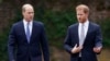 Prince Harry’s New Book Details Fight with Brother William