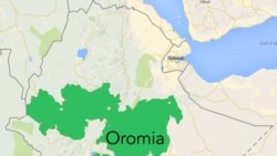 ነበርቲ ምዕራብ ወለጋ ወታሃደራት መንግስቲ ሓሙሽተ ሰባት ቀቲሎም ክብሉ ይኸሱ