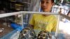 Conference to Tackle Illegal Trade in Endangered Species
