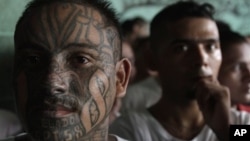 Una serie de crímenes y actos de violencia se les atribuye a esta nueva clase de delincuentes juveniles. 