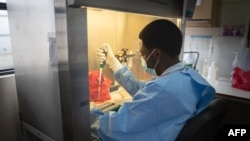 Mfanyakazi wa maabara akiangalia sampuli za majaribio ya COVID-19 katika Rwanda Biomedical Center-RBC