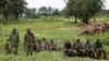 Huit morts dans une nouvelle attaque des ADF dans l'Est de la RDC