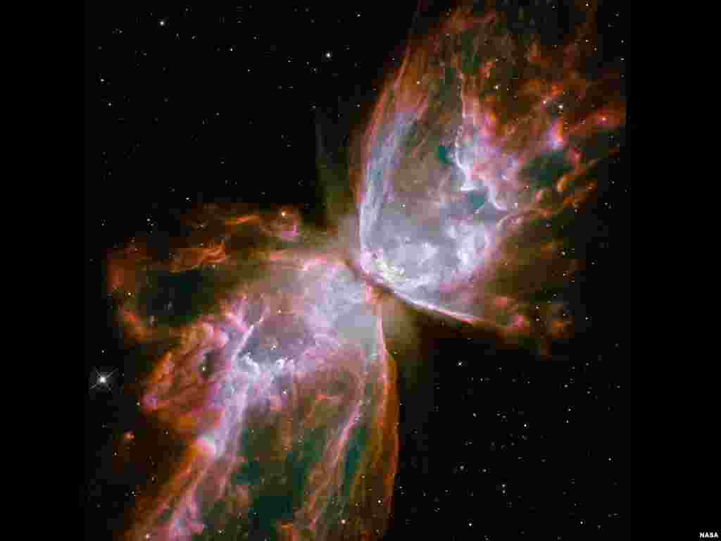 NGC 6302, juga sering disebut sebagai Nebula Serangga adalah kluster cerah pada langit malam hari planet bumi yang juga sering dinamai sebagai Nebula bunga. Struktur NGC 6302 adalah di antara nebula yang paling kompleks dari nebula sebuah planet, dan memiliki temperatur sangat panas di permukaan dengan suhu sekitar 250.000 derajat Celcius.