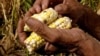 Alertan sobre sequía en Centroamérica