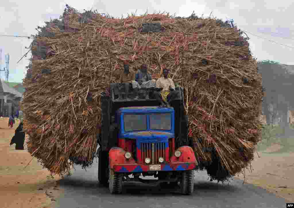 People sit on the top of a truck heavily piled with corn-stalks plies as they head for Mogadishu from Afgooye.