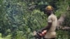 Les évêques de la RDC appellent à une "compensation équitable" en contrepartie de la sauvegarde des forêts