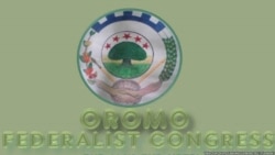 KFO: Labsiin Yeroo Hatattamaa Gaaffii Uummataaf Deebii Hin Taane