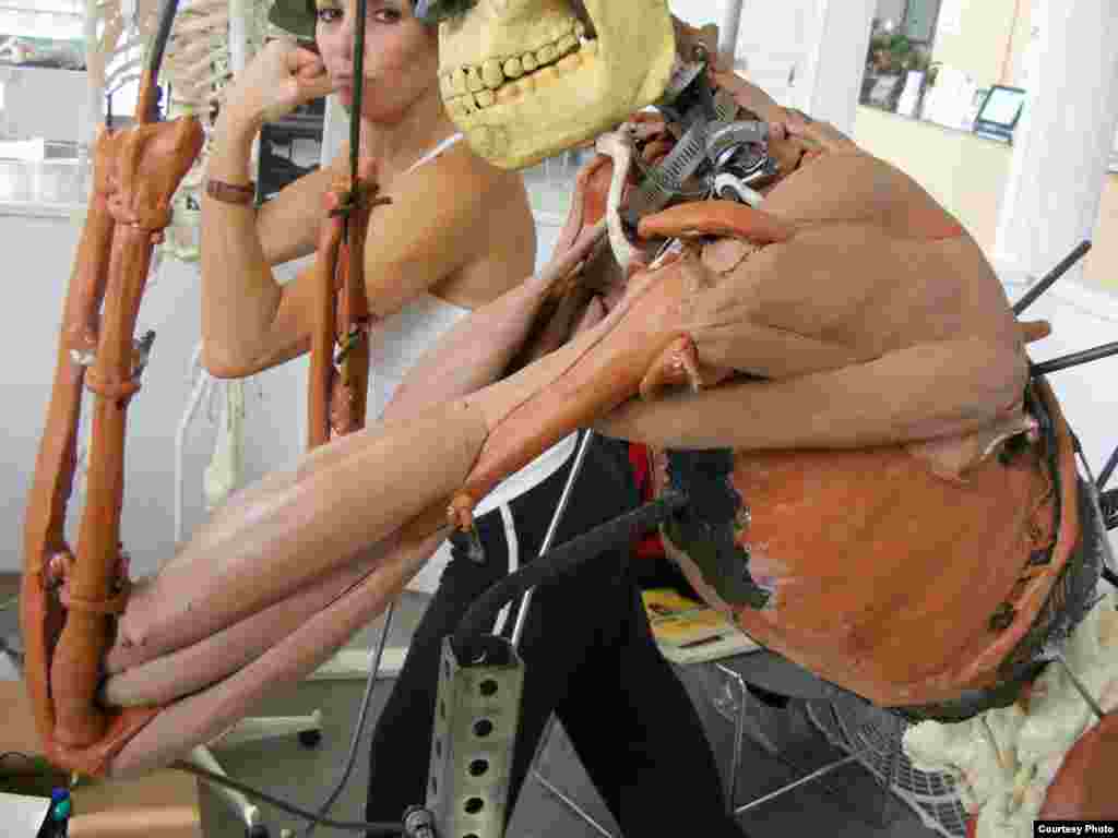 John Gurche builds an armature for Homo erectus and models the muscles on a live human figure. (John Gurche, “Shaping Humanity”)