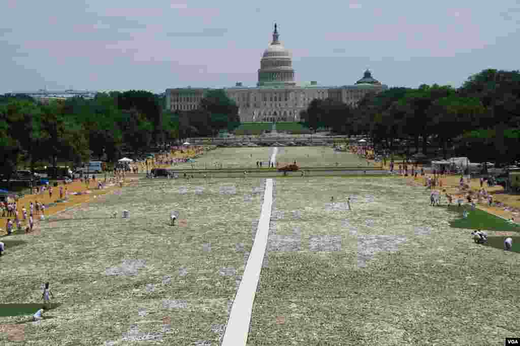 Tampilan instalasi "One Million Bones" di taman National Mall, Washington DC (8/6). (VOA/Jill Craig)
