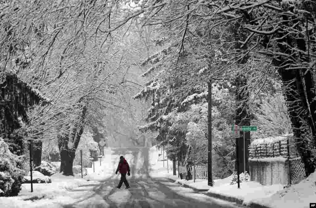 A man walks on a snowy road in Towson, Maryland. Residents along the East Coast and in the Appalachians woke up to snow and government workers and students in the Washington region were told to stay home as the area saw a round of snow that came just a few days after some parts already got several inches.