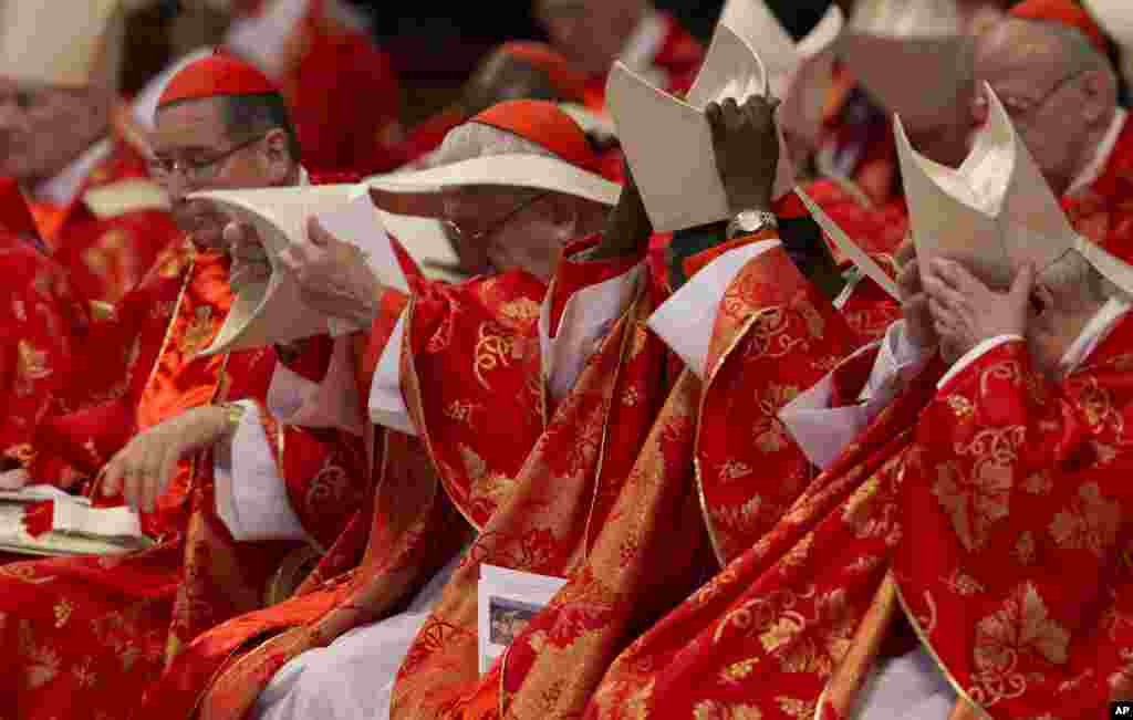 Cardinals hold their mitre hats as they attend a Mass for the election of a new pope celebrated by Cardinal Angelo Sodano inside St. Peter's Basilica, at the Vatican, March 12, 2013.