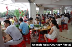 FILE - Some eaters hiding their faces as eating dog meat in Yulin, China.