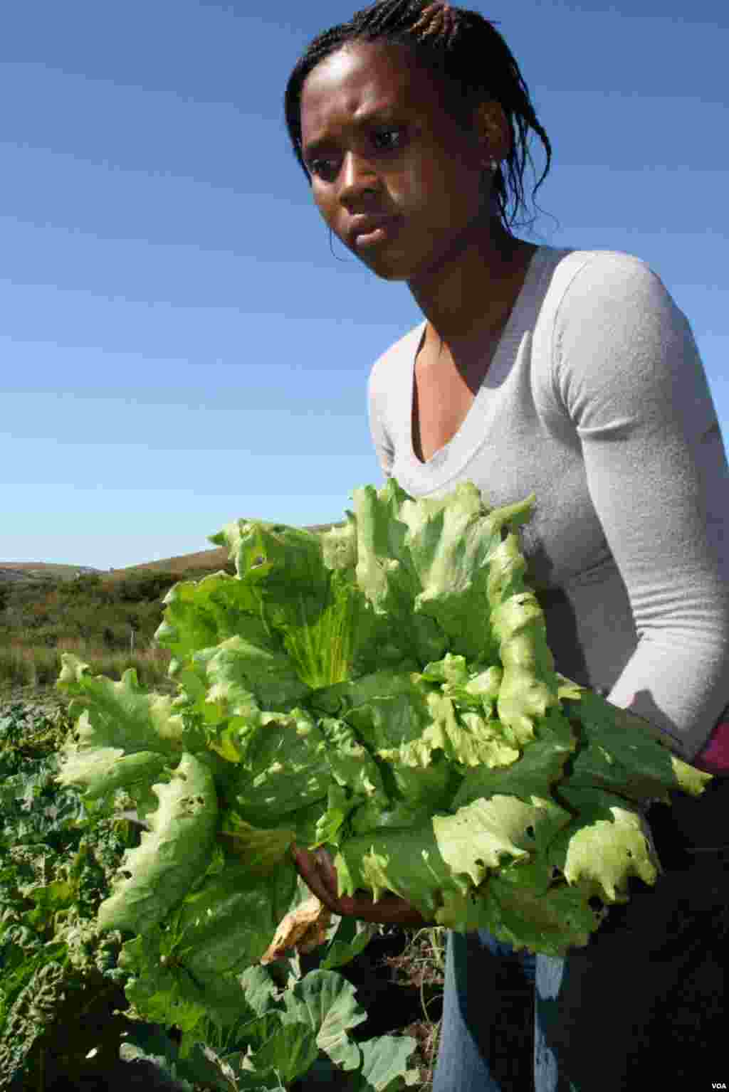 Patients are taught basic farming skills so that they’re able to provide food for themselves (VOA/Taylor)