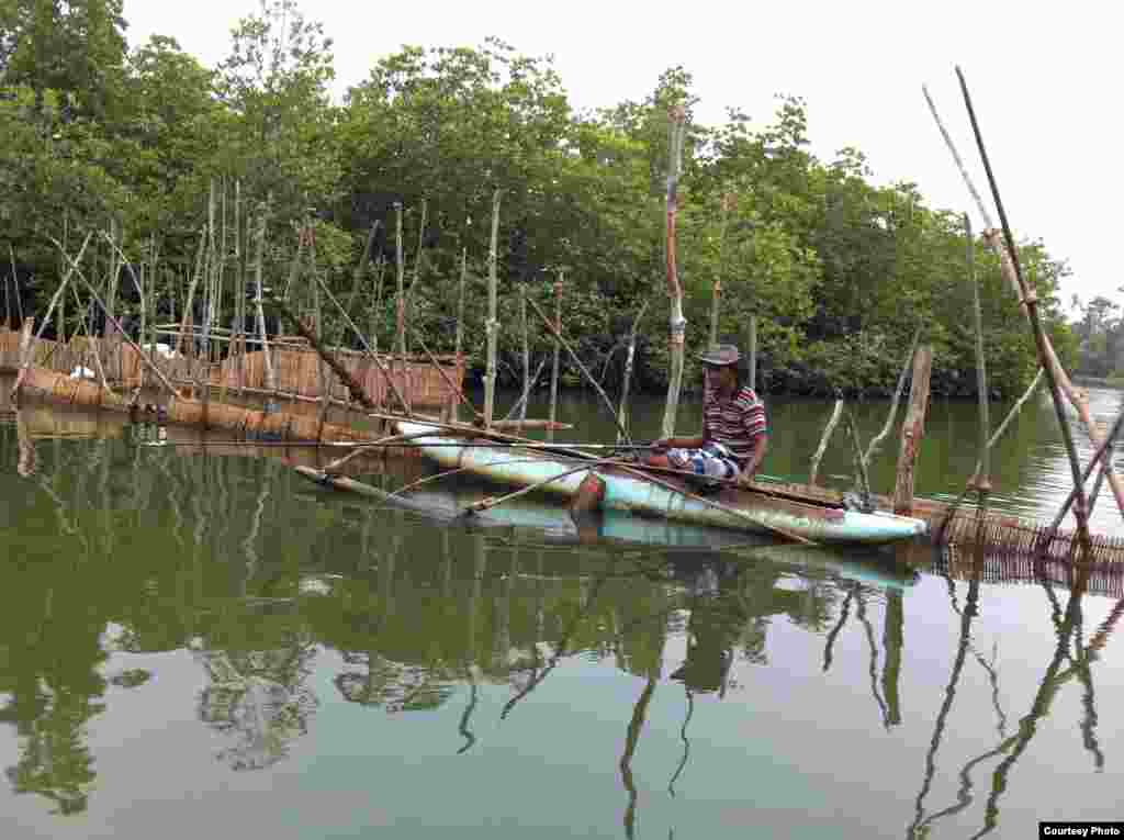 Seorang nelayan mencoba menangkap ikan di Sungai Gangga di kota Bentota, Sri Lanka. (Foto oleh Moh'd Asadi / pembaca VOA).