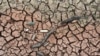 Imagen aérea de un corredor en Honduras afectado por las sequías provocadas por el cambio climático. [Foto: AFP]
