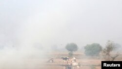 FILE - A boy rides a bullock cart as smoke billows from paddy waste stubble as it burns in a field near Jewar, in the northern state of Uttar Pradesh, India, Nov. 6, 2018. 