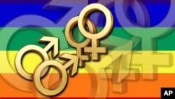 UNAIDS and others say the LGBT community is at greater risk of HIV infection due to criminalization, stigma and discrimination