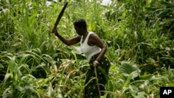Fazenda Pungo Andongo necessita dinheiro para campanha agrícola