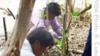 Thailand Steps Up Efforts to Reclaim Lost Mangroves