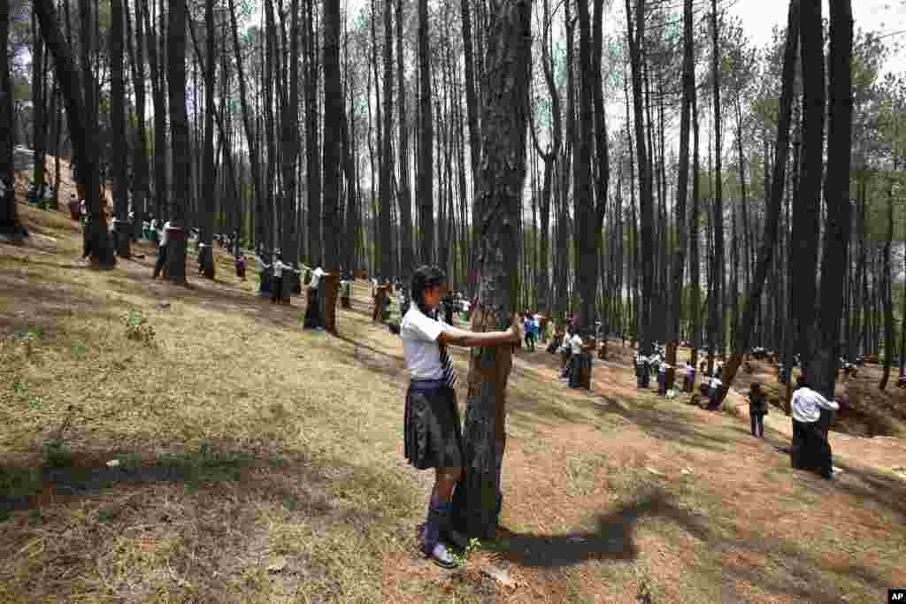 Para pelajar Nepal memeluk pohon dalam acara 'Memeluk Pohon Massal' pada Hari Lingkungan Hidup sedunia di pinggiran ibukota Katmandu.