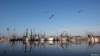 Barcos camaroneros inactivos flotan en los muelles de Joshua's Marina en Buras, Luisiana, el 17 de mayo de 2010.
