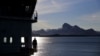'Unicorns of the Sea' at Risk From Increased Arctic Shipping