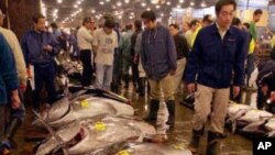 Moçambique: Detidos 2 chineses e 1 moçambicano suspeitos de pesca ilegal