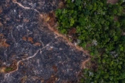 FILE - In this Nov. 23, 2019 photo, a burned area of the Amazon rainforest is seen in Prainha, Para state, Brazil.