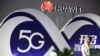 NATO Members Risk Losing US Intel Over China Tech 