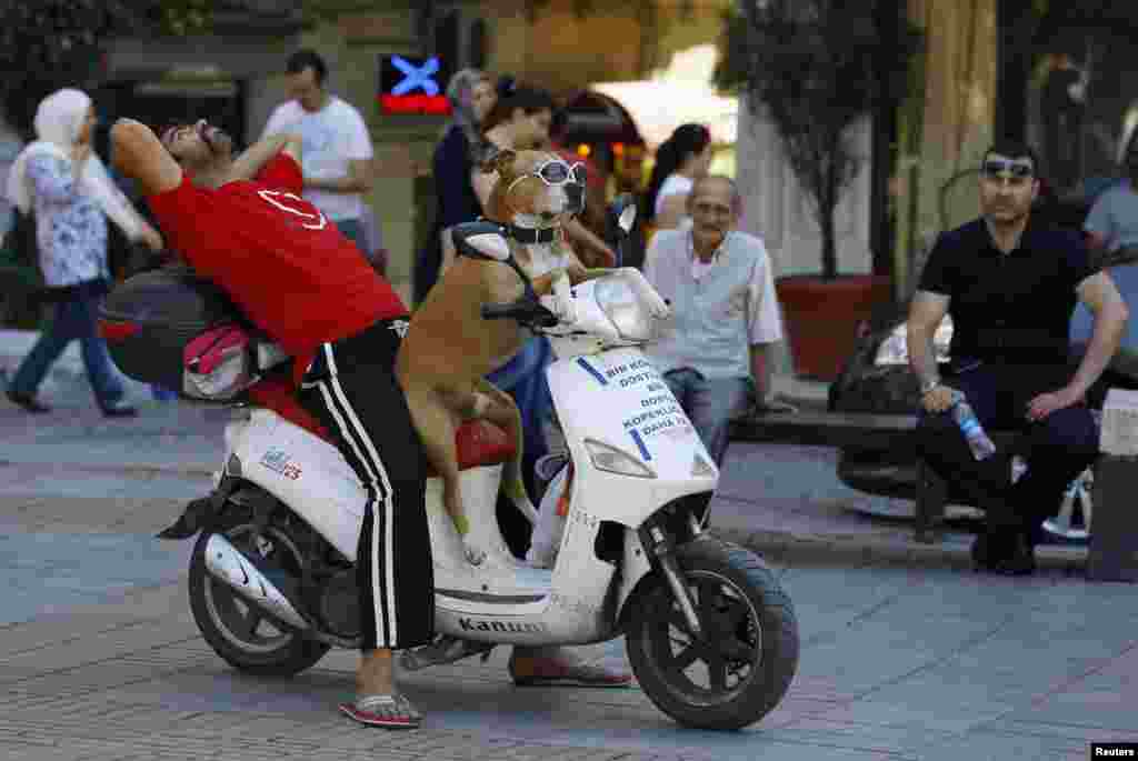 Seorang pria beristirahat di atas sebuah scooter bersama dengan ajingnya di Istanbul, Turki.
